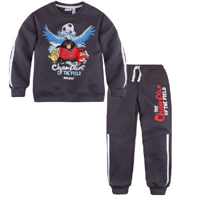203АБ-461с+496АБ-461с Спортивный костюм для мальчика"Angry Birds"